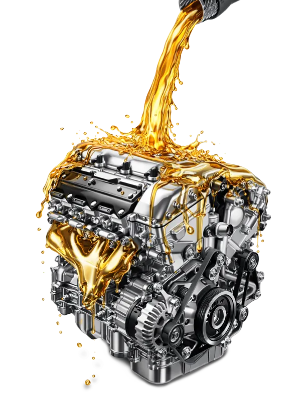 Домашняя страница